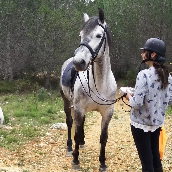 Montar a caballo